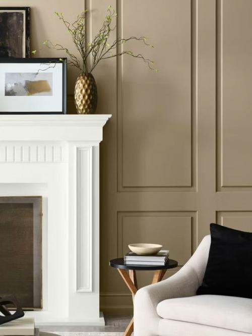 Цвет 2026 года по версии Sherwin - Williams - Universal Khaki. 02